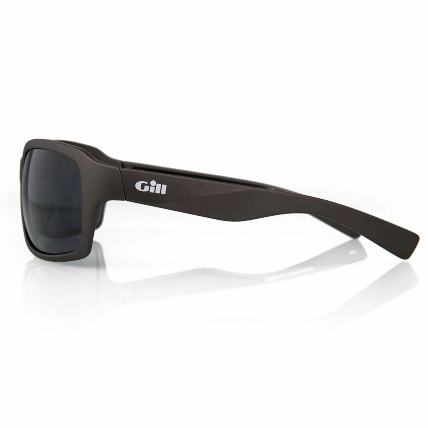Gill Glare Sunglasses Accessories 4 Gill Glare Sunglasses Accessories