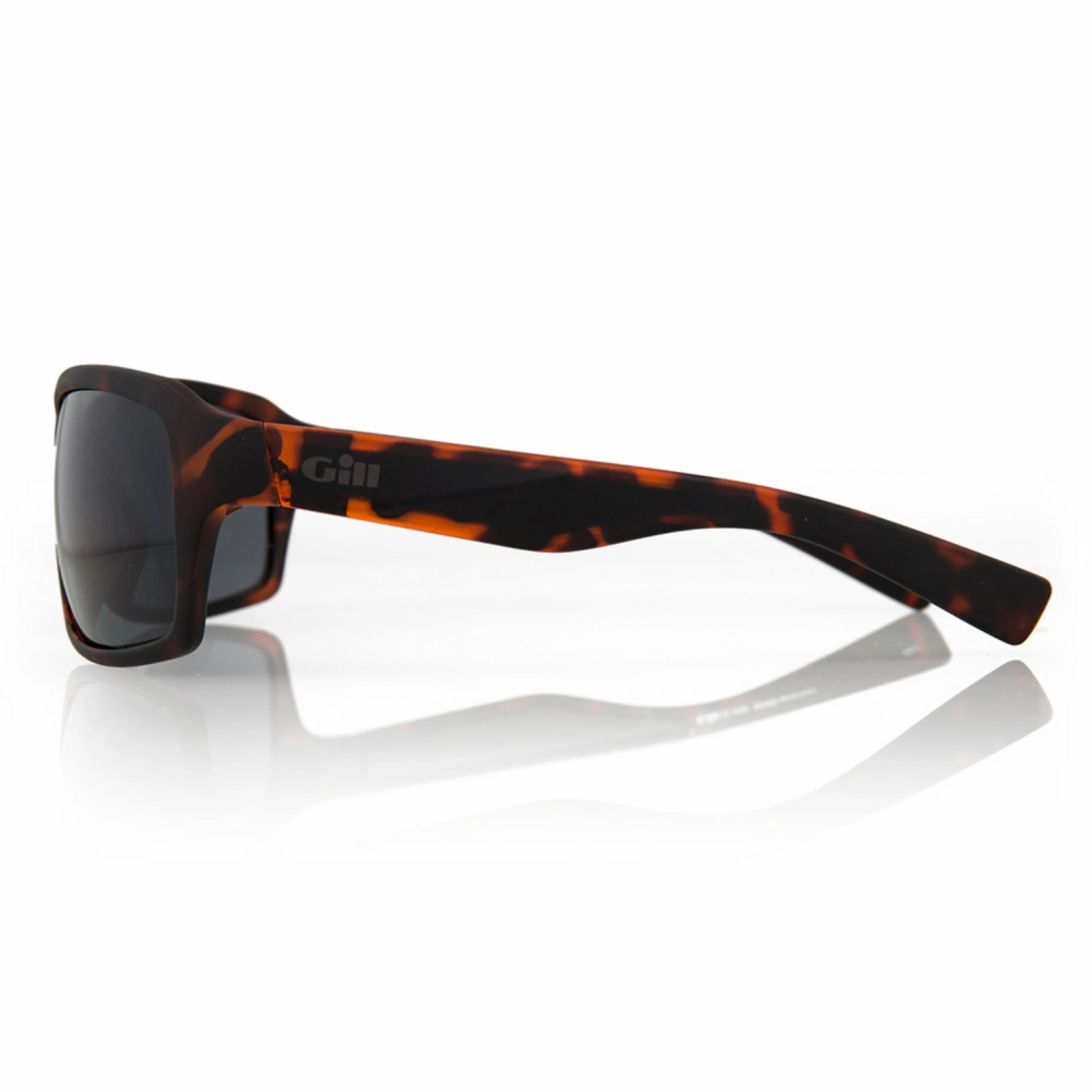 Gill Glare Sunglasses Accessories 6 Gill Glare Sunglasses Accessories