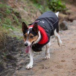 Dryrobe Dog Waterproof Coat 11 Dryrobe Dog Waterproof Coat